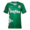 Original Fußballtrikot Palmeiras Special 2024 Grüne Für Herren